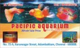 /album/photogallery/company-card-pacific-aquarium-27-03-jpg/